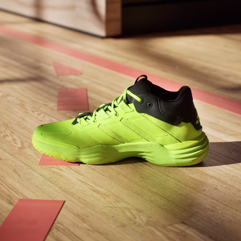Court Stabil Indoor Shoes image 1