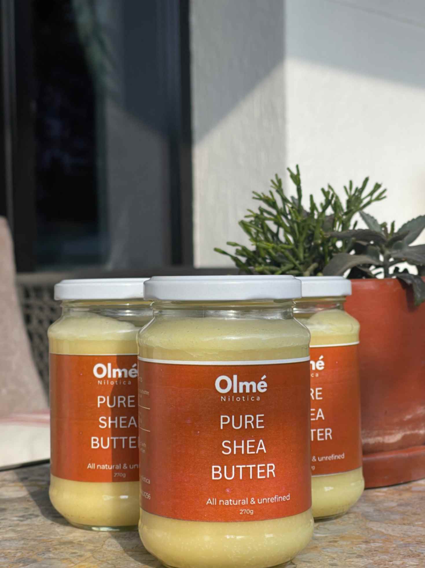 OLME NILOTICA SHEA BUTTER  image 1